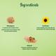 Biotique Wheatgerm Anti-Ageing Night Cream 50gm - Face Creams