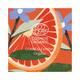 Juicy Chemistry Grapefruit & Patchouli Organic Deodorant Stick -/2.46oz 70.0 gm - Deodorants/Roll-Ons