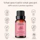 Essentia Extracts Geranium Essential Oil 15 ml - Essential Oils