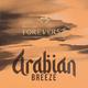 Daily Life Forever52 16 Color Eyeshadow Palette Arabian Breeze-Brz001 24 gm - Eye Shadow Palettes