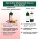 Vansaar 45+ Cholesterol Balance Juice 1 L - Ayurvedic Juices