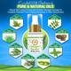 Mom & World Mosquito Repellent Body Spray (3+ Months) 100 ml - Mosquito Repellent