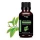 Seyal Naturals Pure & Natural Essential Oil - Tea Tree 15 ml - Essential Oils
