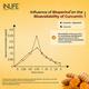 INLIFE Curcumin 95 Advanced 500 mg Vegetarian Capsule 60's - Herbal Dietary Supplement
