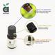 Anveya Eucalyptus Essential Oil 15 ml - Essential Oils