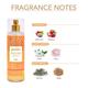 AND Chic Connect Body Mist & Global Desi Magical Maze Body Mist 400 ml - Body Mist/Spray