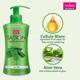 Vi-John Saffron Fairness Body Lotion Combo - Pack of 6 x 250 ml - Lotions & Creams