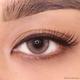 O-Lens Russian Smoky 1Day Coloured Contact Lenses - Brown (0.00) 1's - Eyecare Lenses