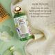 Vedic Valley 21 Tatva Brewed Herb Shampoo Certified Natural 300 ml - Shampoos
