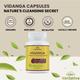Vansattva Vidanga Capsule 60's - Speciality Medicines