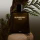 Burberry Hero Parfum for Men 50 ml - Perfumes (Edt/Edp)