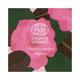 Juicy Chemistry Damask Rose & Coffee Under Eye Cream 5.0 gm - Under Eye Creams & Serums