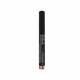 Lakme Absolute Explore Eyeshadow Stick Champagne 1.4 gm - Eye Shadow Palettes