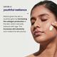 Reequil Retinol Night Cream For Wrinkles & Skin Tightening 30 gm - Face Creams