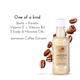 Hada Secrets Japan Jamaican Coffee Shampoo 300 ml - Shampoos