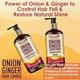 WishCare Onion Ginger Conditioner-Strenght & Shine Booster- 300 ml - Conditioners