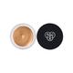 PAC Studio HD Concealer Sheesham 12 gm - Concealer