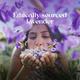Love Beauty And Planet Argan Oil and Lavender Sulfate Free Smooth and Serene Shampoo 200 ml - Shampoos
