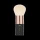 Proarte Ap-15 Body/Face Polishing Brush Black 1's - Face Brush