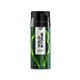 Wild Stone Forest Spice Deodorant 150 ml - Men Deodorants/Roll-Ons