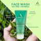 Aaranyaa Sulphate Free Face Wash Tea Tree Moringa 110 ml - Face Wash & Cleansers