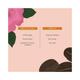 Juicy Chemistry Damask Rose & Coffee Under Eye Cream 5.0 gm - Under Eye Creams & Serums