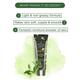 Bryan & Candy Green Tea Lotion 125 ml - Lotions & Creams