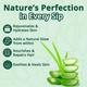 Vansaar 45+ Aloe Vera Juice 1 L - Ayurvedic Juices