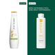Biolage Smoothproof Anti-Frizz Shampoo with Camellia Oil and Glycerin for 72HR Frizz Control 400 ml - Shampoos