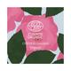 Juicy Chemistry 100% Organic Bulgarian Rose Water Toning Mist For Normal To Oily Skin Type 110ml - Face Mists