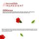 Atulya Hibiscus Organic Powder 100 gm - Conditioners