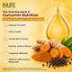 INLIFE Curcumin 95 Advanced 500 mg Vegetarian Capsule 60's - Herbal Dietary Supplement