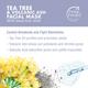 Petal Fresh Tea Tree Blemish Control Facial Mask With Salicylic Acid 200 ml - Masks & Peels
