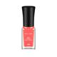 Miss Claire Gel Effect Nail Polish - G09 5 Ml - Nail Polish