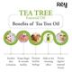 Rey Naturals Tea Tree Essential Oil 15 ml - Essential Oils