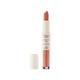Mua Multi Lip Matte Lipstick and Gloss Duo - Balance (3.2gm, 2ml) 1's - Lipsticks