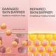 Lakme Peach Ceramide Moisturizer with SPF 30| For Dry Skin, Normal Skin & Sensitive Skin 120ml - Face Moisturizers