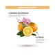 St. Ives Soothing Body Wash - Citrus & Cherry Blossom 650 ml - Shower Gels & Body Wash