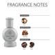 Ajmal Mukhallat Al Wafa Concentrated Perfume Oil Oriental Musky Alcohol For Unisex And Musk Rose Concentrated Perfume Oil Floral Musky Alcohol For Unisex 24 ml - Perfumes (Edt/Edp)