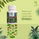 Qaadu Extract Based Mempro 500mg Capsule 60's - Speciality Medicines