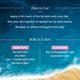 Aqualogica Pink Sorbet Plump + Luscious Tinted Lip Balm With Berries And Hyaluronic Acid 10 gm - Lip Balms