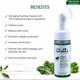Globus Naturals Kale & Spinach Anti- Aging Foaming Face Wash With Silicon Face Massage Brush 150 ml - Face Wash & Cleansers