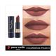 Pierre Cardin ParisMatte Rouge 445 Charming Peach 4.3 gm - Lipsticks