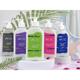 Ancel Green Tea Conditioner 300 ml - Conditioners