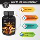 Wild Vedic Naturals Shilajit Capsule 60's - Health Products