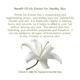 Nyassa Lily of The Valley Handmade Soap 150 gm - Soaps