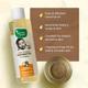 Mother Sparsh Cold-Pressed Coconut Oil for Babies 200 ml - Creams, Lotions & Oils