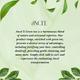 Ancel Green Tea Conditioner 300 ml - Conditioners