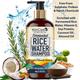 WishCare Fermented Rice Water Shampoo For Dry & Frizzy Hair - Paraben And Sulphate Free Shampoo 300 ml - Shampoos