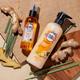 Buds & Berries Ginger and Vetiver Hair Lotions & Tonics Bottle 100 ml - Hair Lotions & Tonics